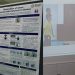 April 2018 – Research in Imagery and Observation