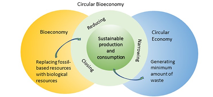 BMH Social Responsibility | Unlocking The Potential Of Circular ...