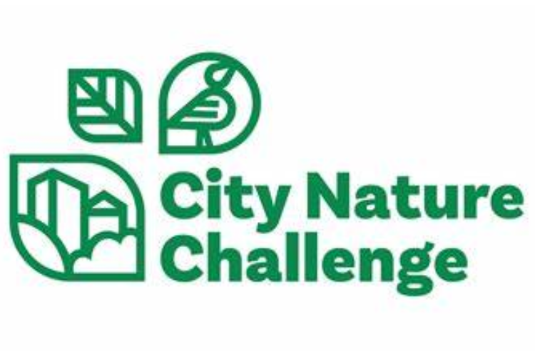 From Quad to City: Discover Wildlife in the Greater Manchester City Nature Challenge 2024!