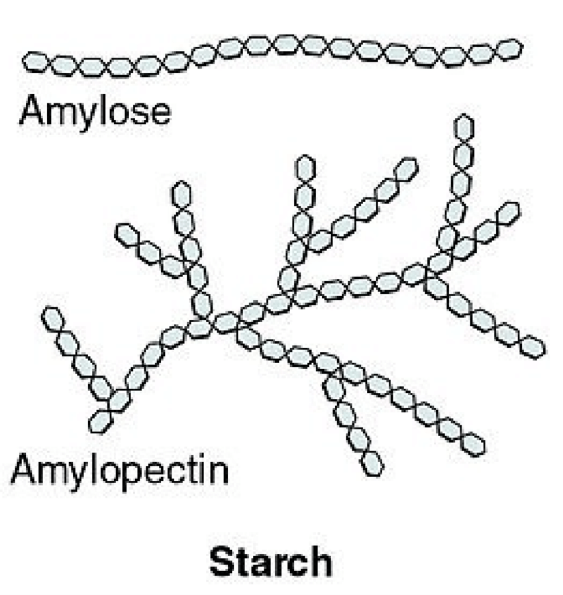 BMH Social Responsibility | Food Made in a Test Tube: Artificial Starch ...