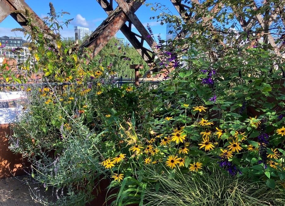 Discover an unconventional garden in the city centre: The Castlefield Viaduct Project