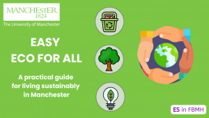 Easy Eco for All poster