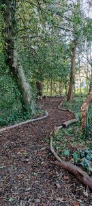 Part of the woodland walk finished and open to visitors!