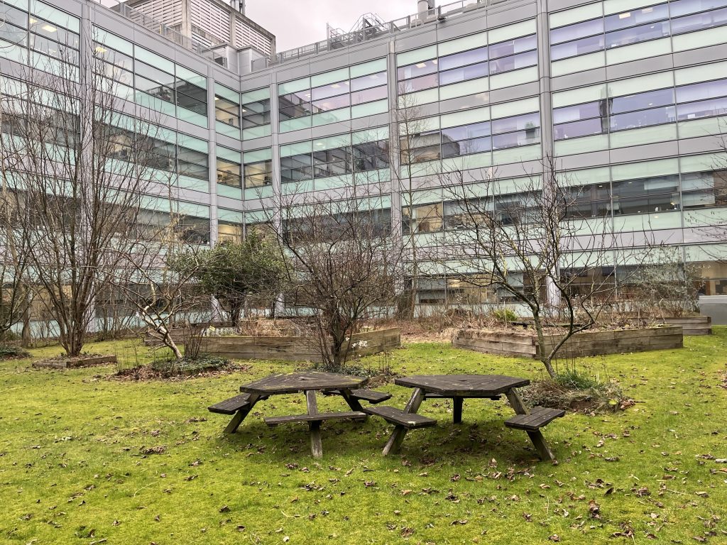 The Quad Garden in February 2025