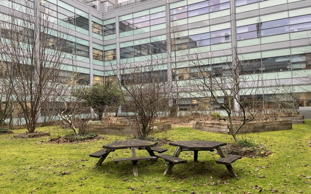 February 2025 update from the Michael Smith Quad Garden