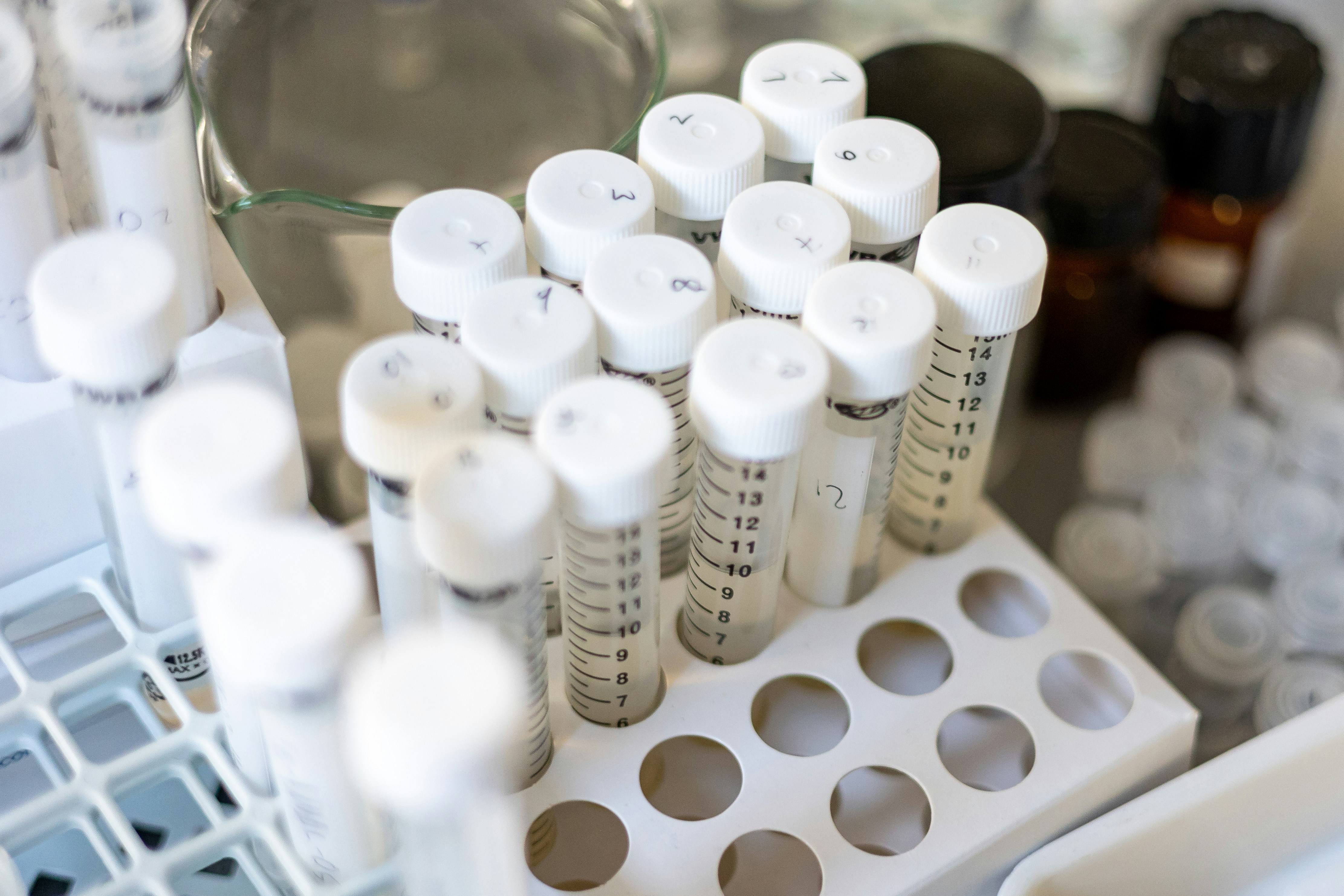 test tubes in a lab
