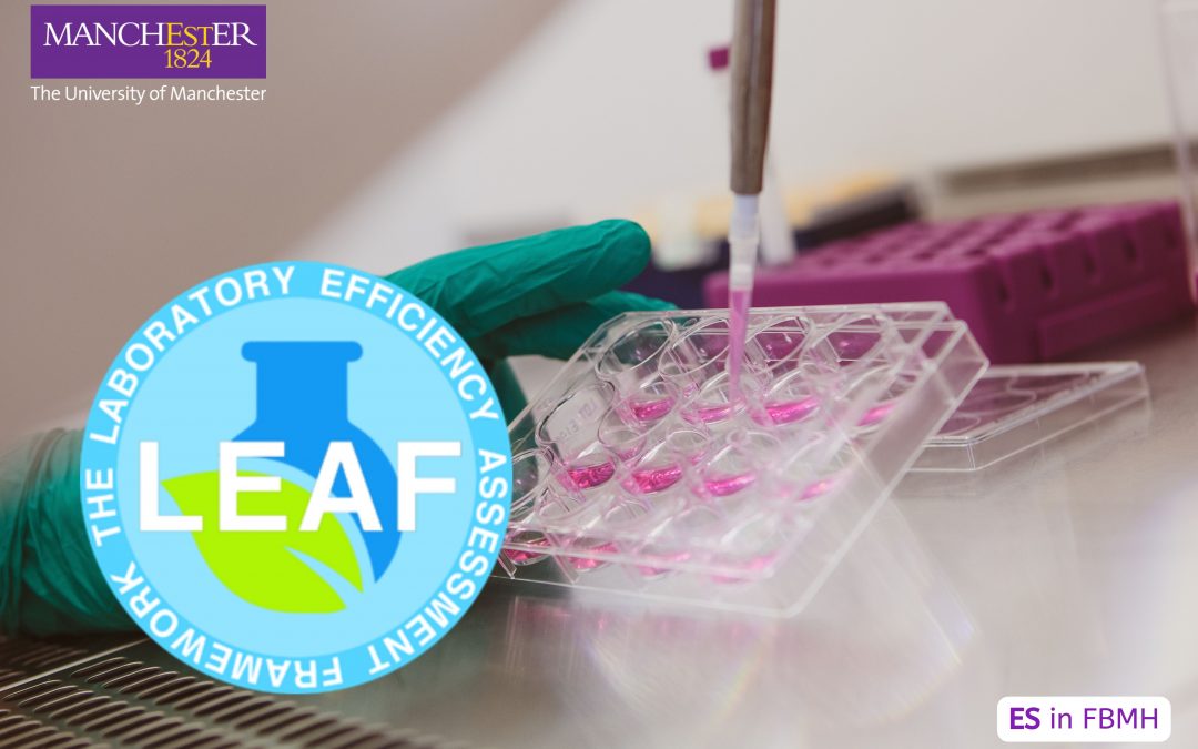 Are you a PI or wet lab user in FBMH? LEAF accreditation required by December 2025