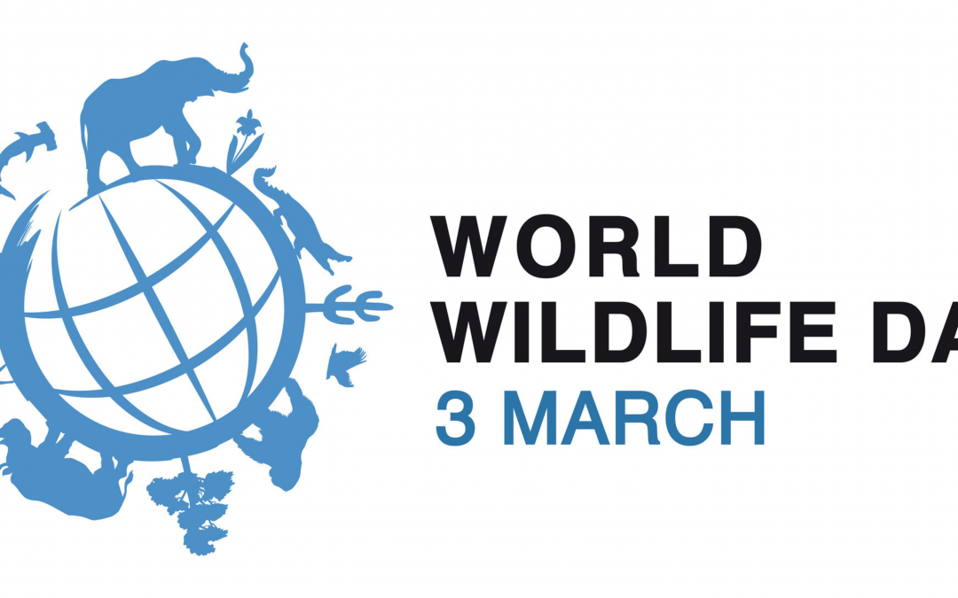 World Wildlife Day 2026: Medicinal and Aromatic Plants