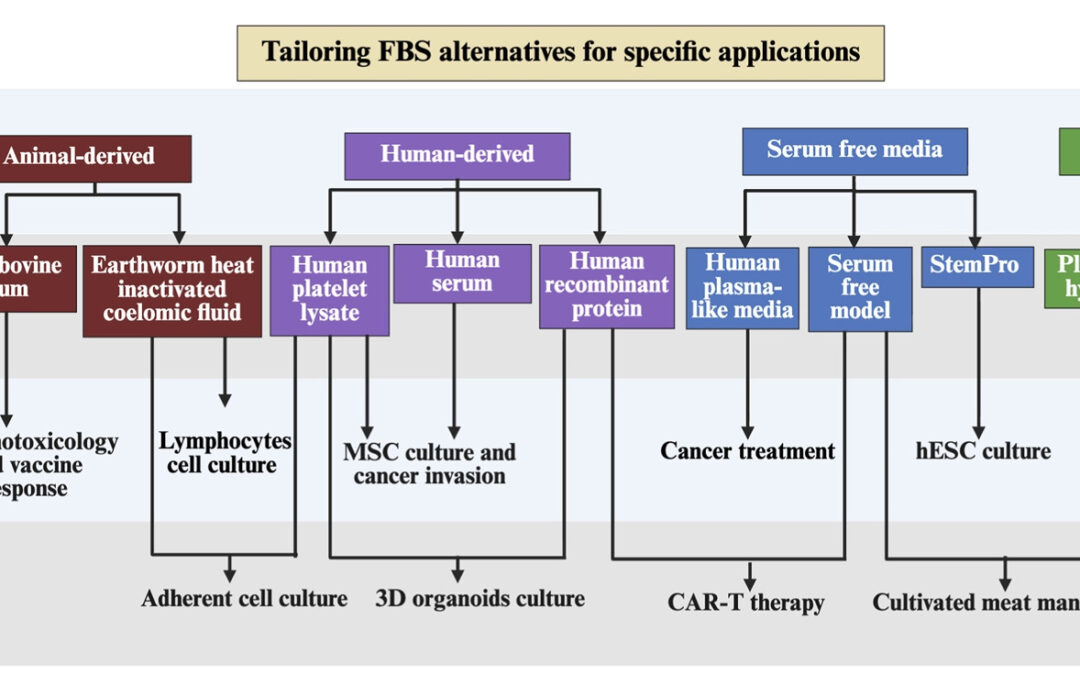 The sustainable transition toward FBS alternatives