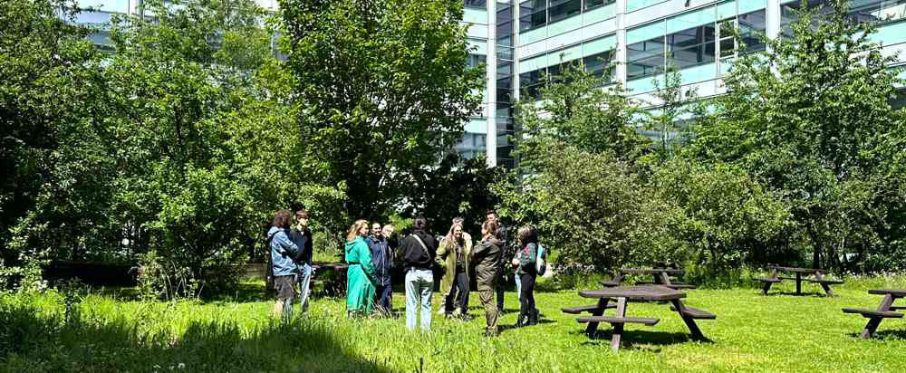 Biodiversity and Sustainable Living: FBMH Environmental Sustainability Showcase 2026