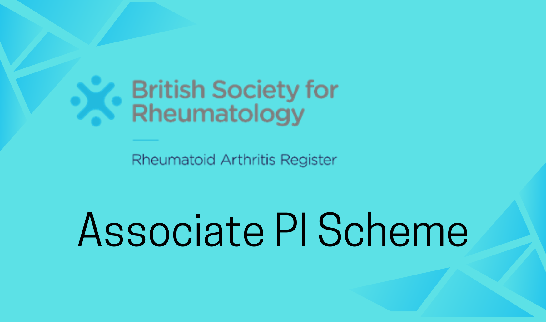 Api Ra BSRBR-RA study blog | BSRBR-RA API Scheme