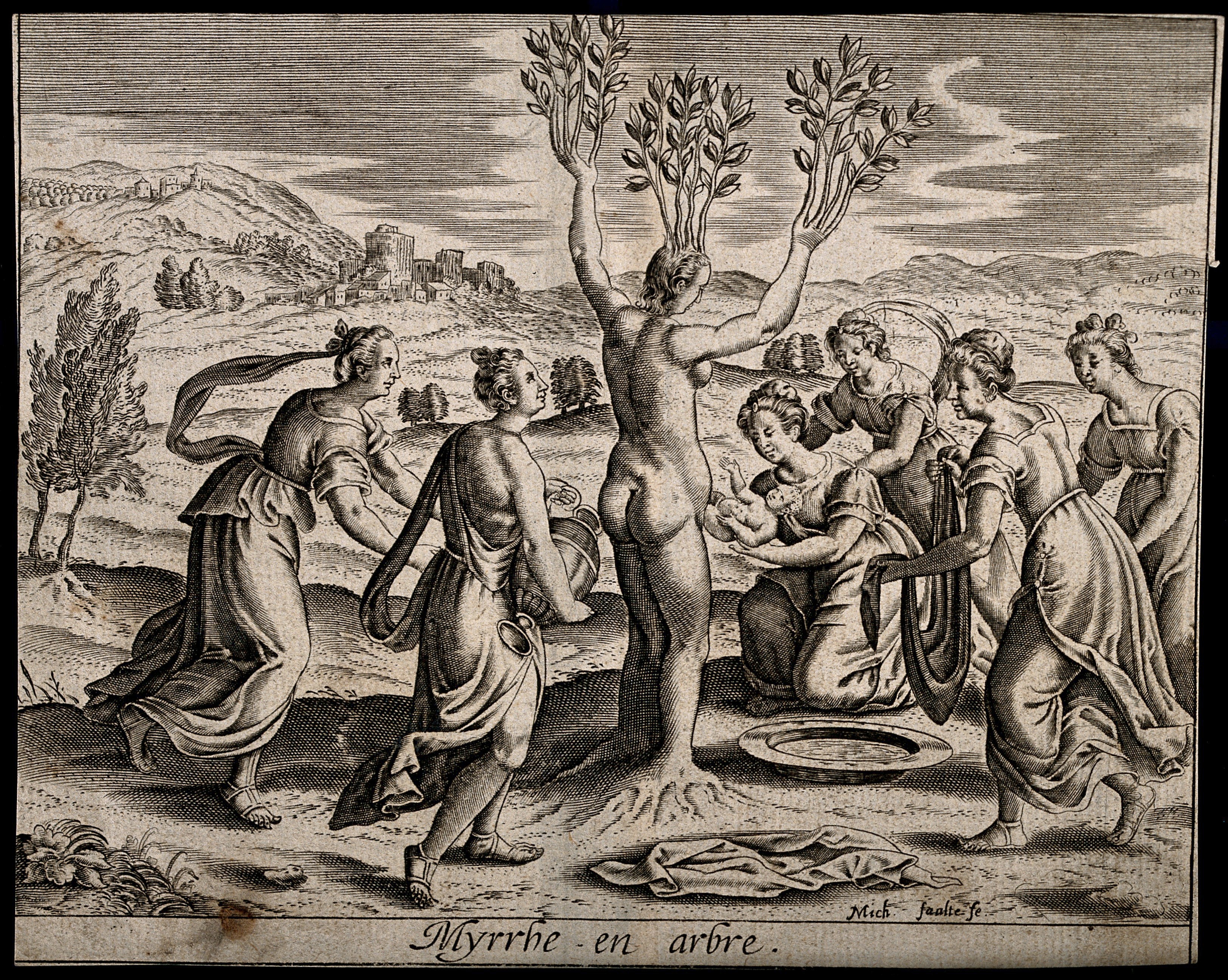 Adonis-birth Myrrha, being transformed into the myrrh tree, gives birth to Adonis. Engraving by M. Faulte