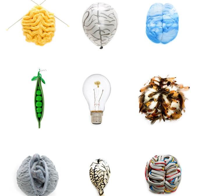 Rethinking Neurodevelopment: From WHO Policies to Neurodiversity and Care