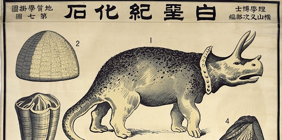 Collecting, Studying, Controlling Animals in East Asia