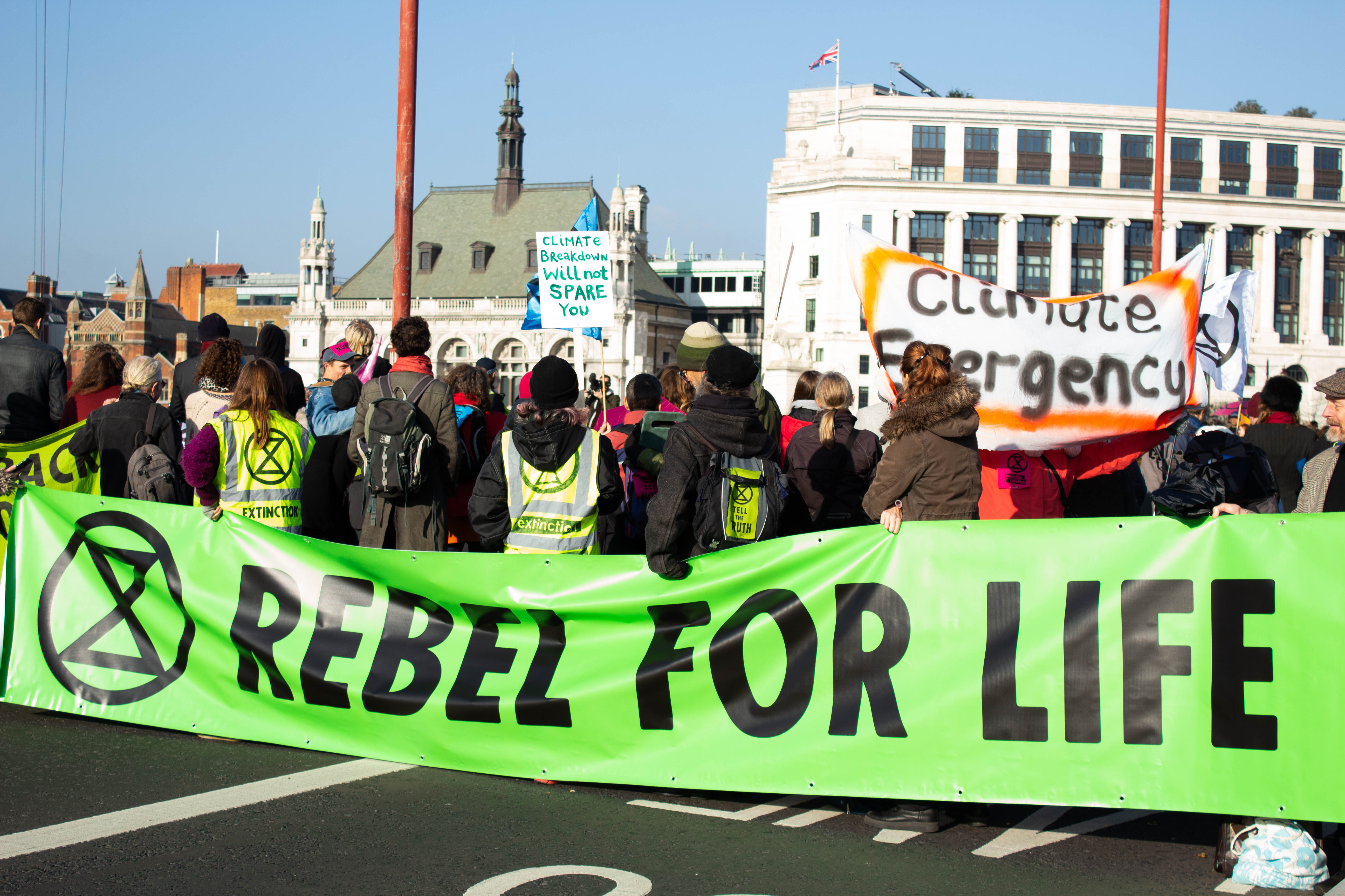 Photograph of a group of protestors in an urban environment, with a large green banner reading REBEL FOR LIFE
