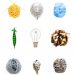 Rethinking Neurodevelopment: From WHO Policies to Neurodiversity and Care