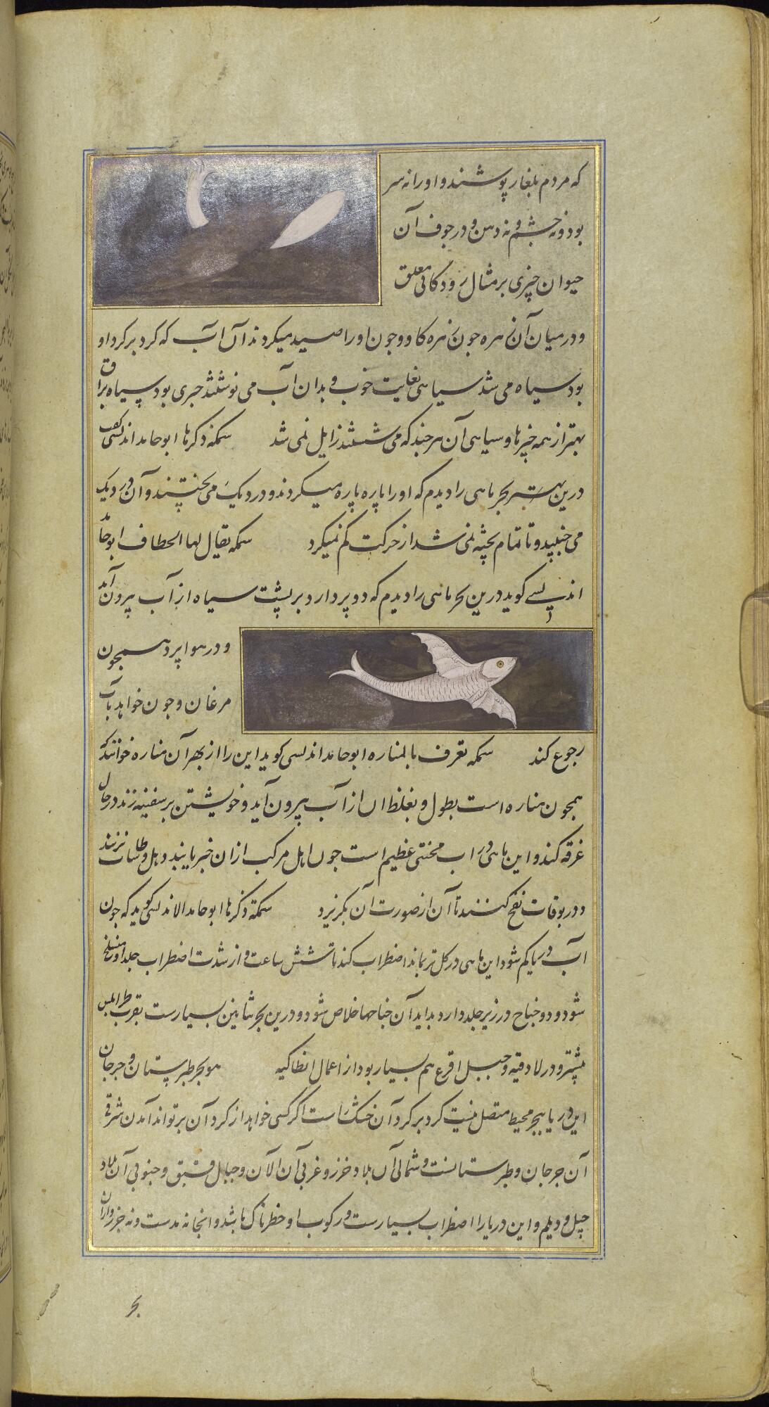 MS-PERSIAN-00003-000-00156