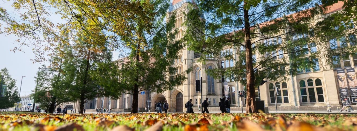 Historic building with arched windows and a clock tower in the background, surrounded by trees with green and yellow autumn leaves. People walk along a leaf-covered sidewalk in the foreground.
