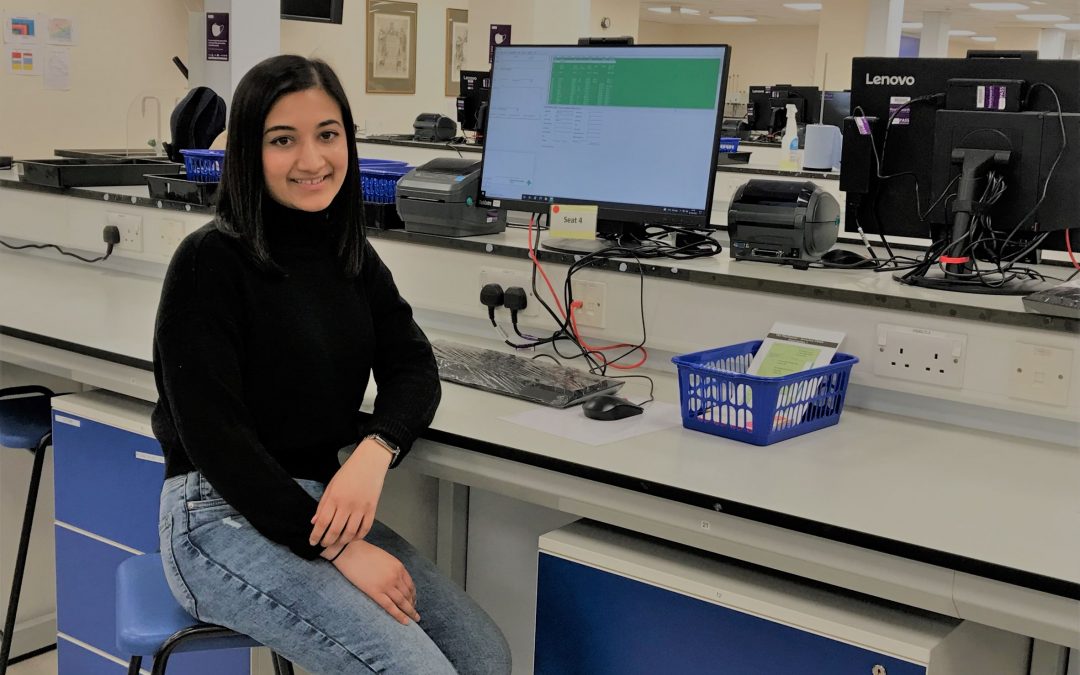 My student mentor experience