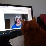 April is pictured speaking on a laptop screen, watched by Pippa, a ginger cat