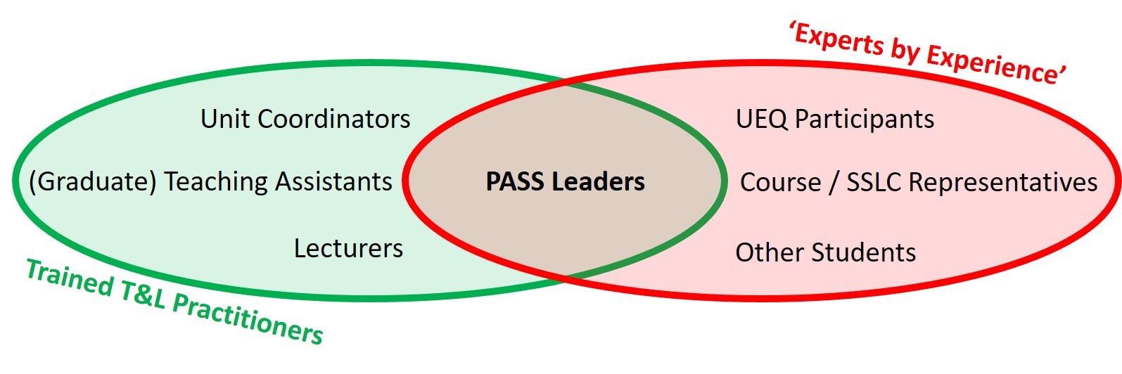 PASS scheme model produced by Dr Nick Weise 