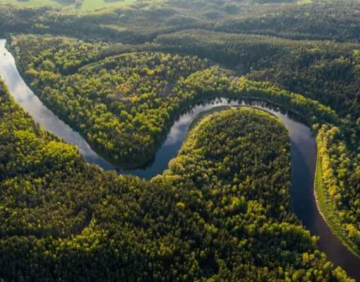 Aerial photograph of the Amazon and surrounding forest