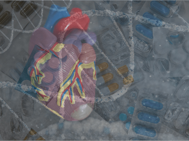 The organisation and diffusion of translational research: Can cardiovascular medicine learn from oncology? Case studies of pharmacogenomics in the NHS