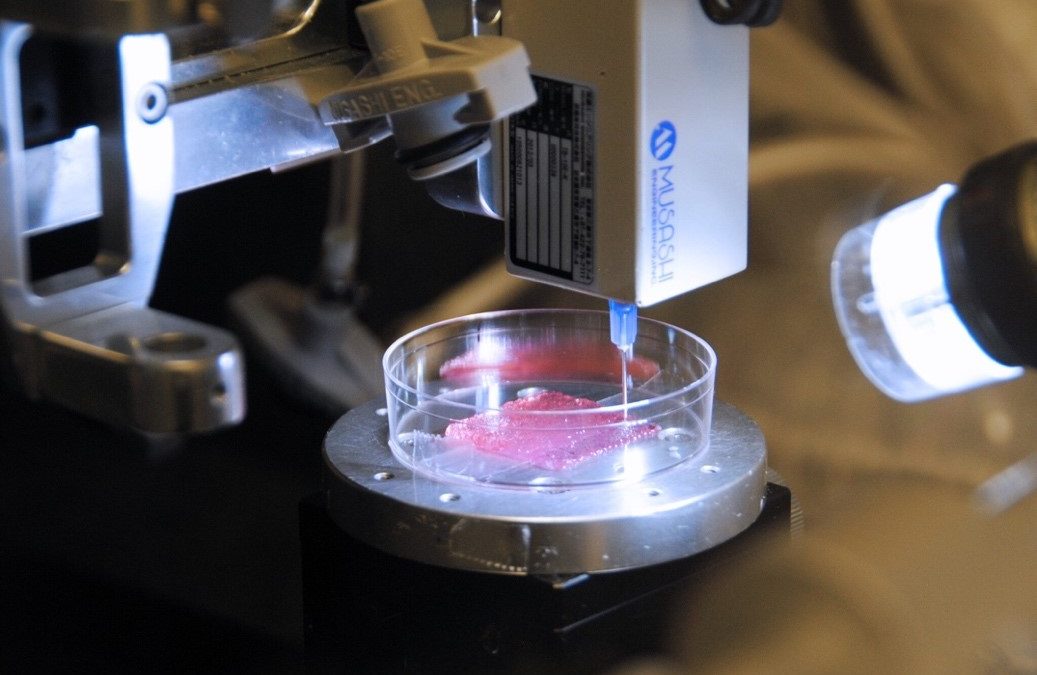 Can 3D Bioprinting “cure” organ trafficking?