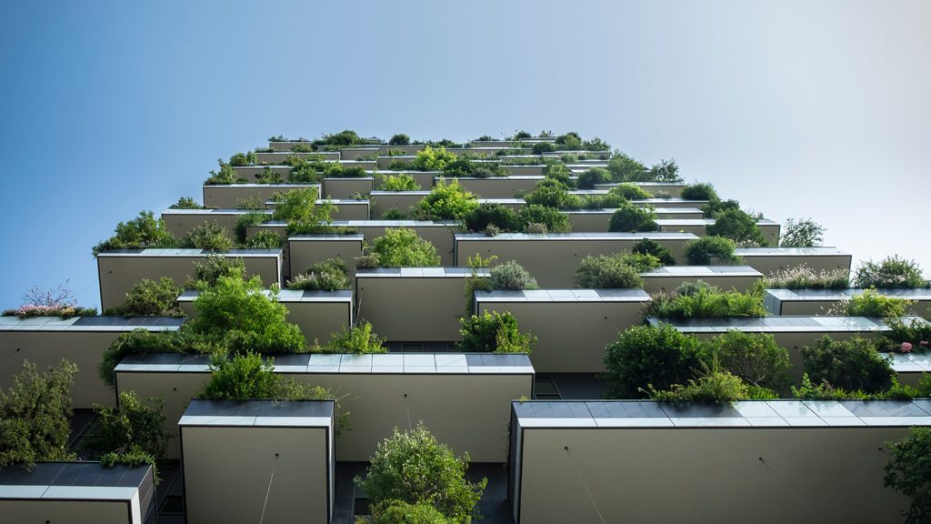 A photograph of an example of green architecture - balconies on a small tower block with vegetation