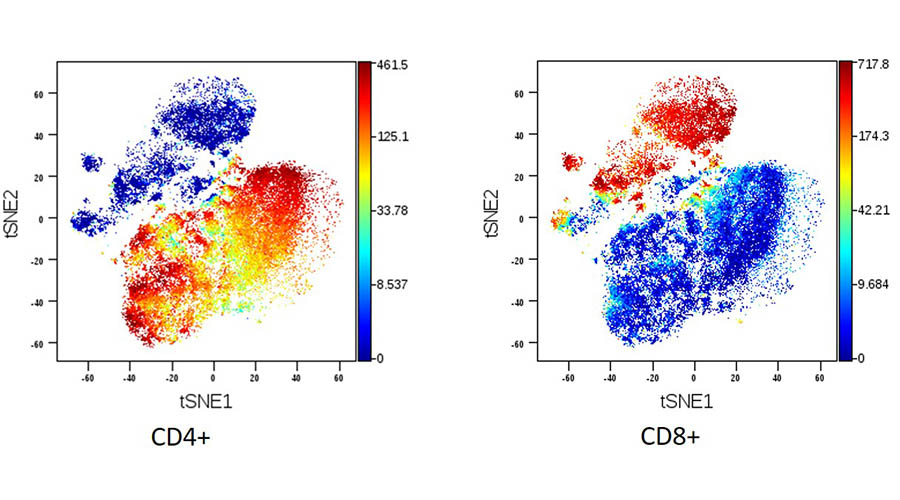 Chart of CD4+ and CD8+ cells