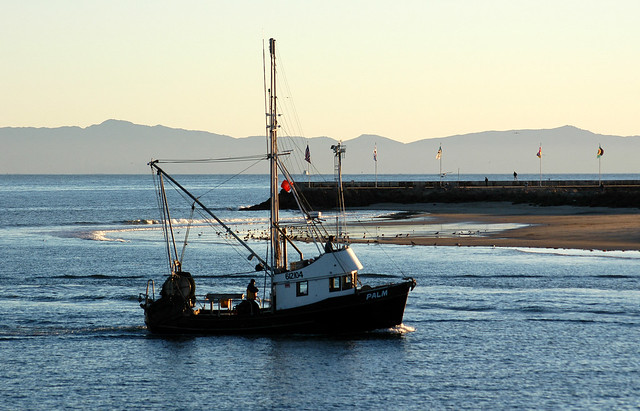 Resilient or environmentally friendly? Both are possible when seafood businesses prepare for long-term risks