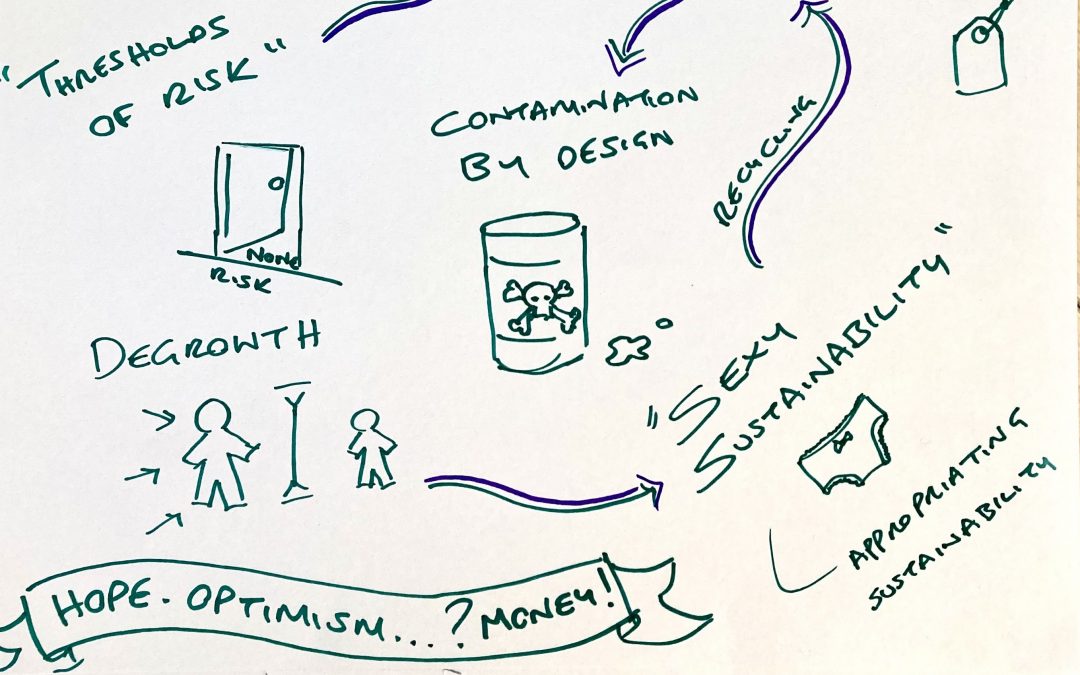 One Step Forward, Two Steps Back? Reflections on the role of Optimism and Pessimism in  taking action on Sustainability 