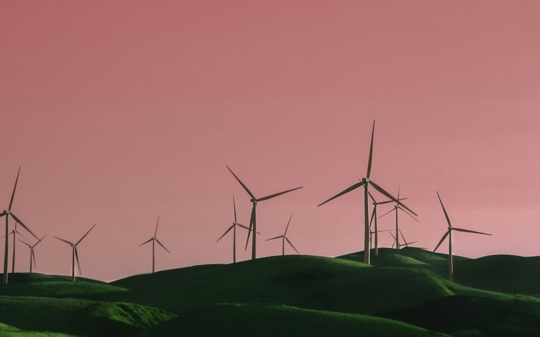 SCI’s 2025 Conference Round-Up: Turbulence, Crisis & Disruption in Sustainability Research