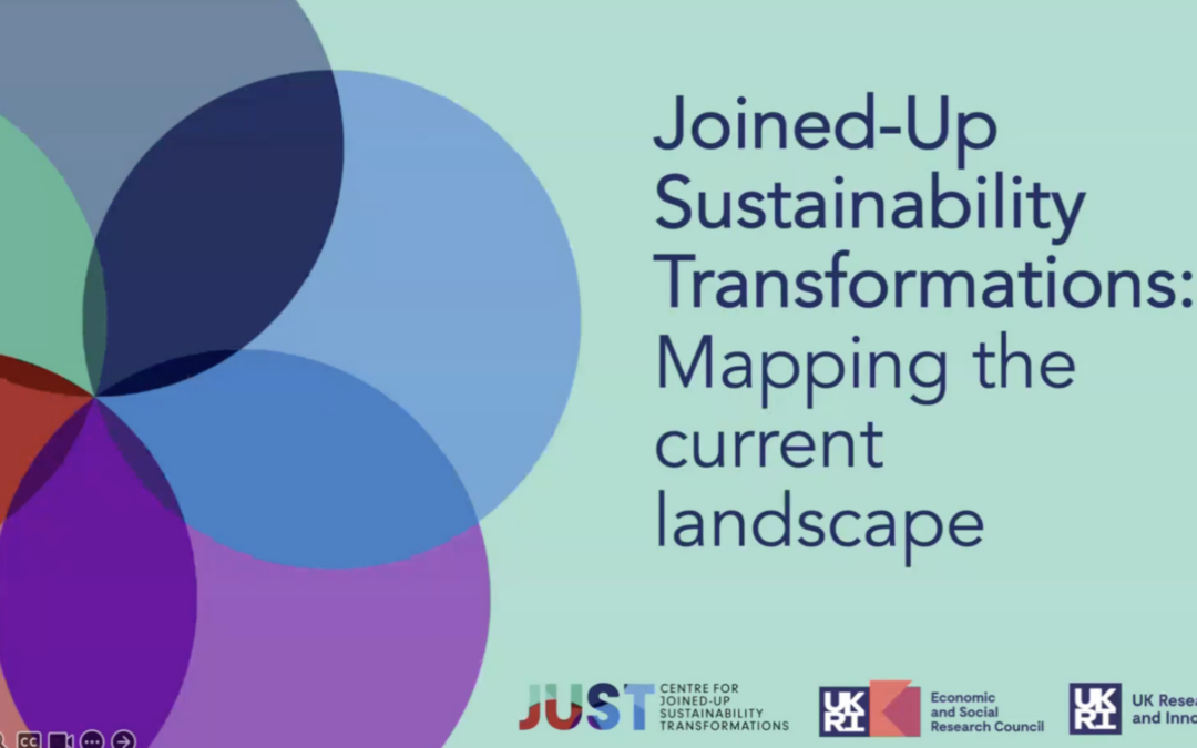 Joined‑Up Sustainability Transformations: Insights from the JUST Centre’s regional review