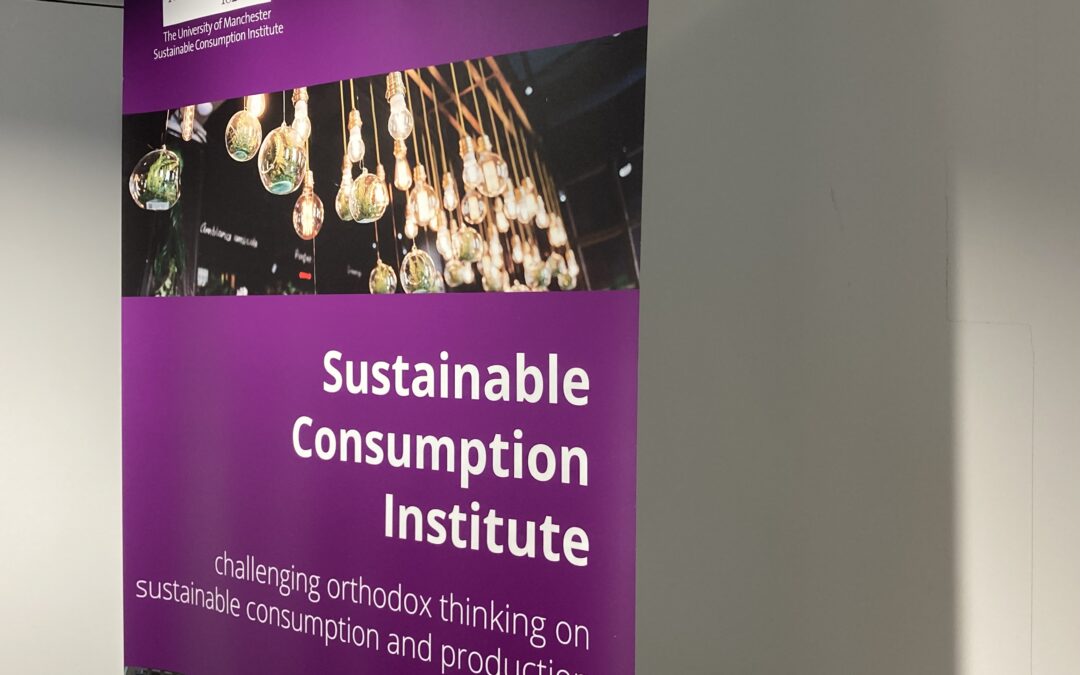 The Politics of Sustainable Investment: Challenges and Possible Research Directions 