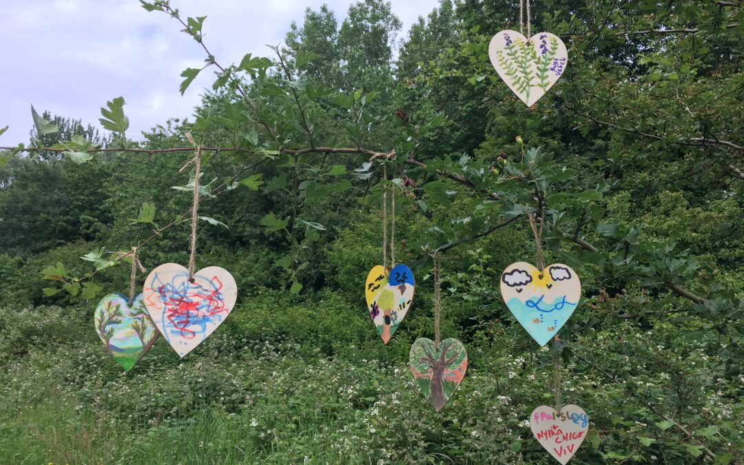 Protecting Manchester’s Green Spaces, Together
