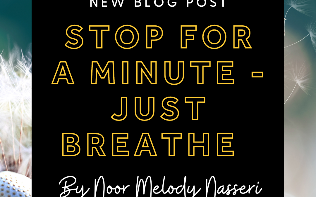 Stop for a minute: Mindful Breathing